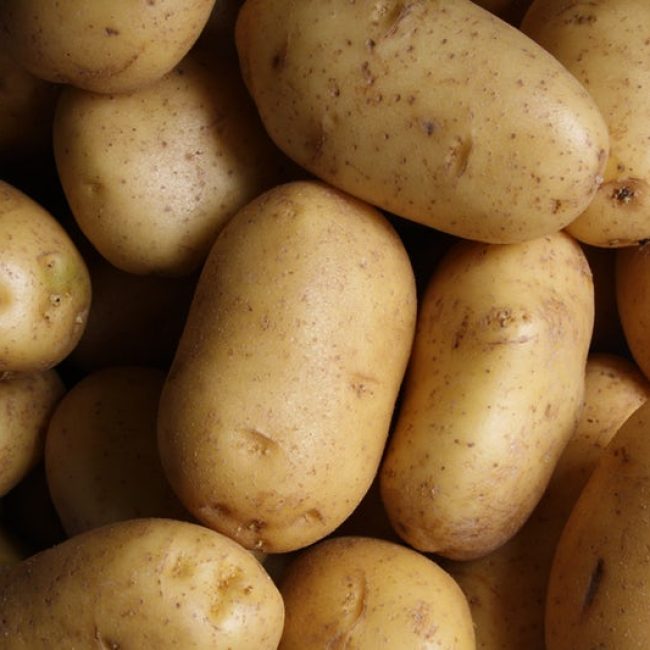 active couch potato spuds spokeasy blog post all over the map page Irish for a Day blog